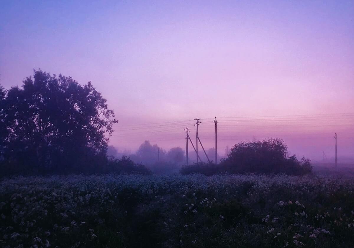 乐鱼线上服务：重新定义日常生活的“随时可得”体验